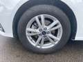 Ford S-Max 2.5 l Duratec (FHEV) Titanium Autom. AHK BUSINESS/ Weiß - thumbnail 9