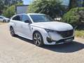 Peugeot 308 SW GT PureTech130 EAT8 - Surrounding+Premium Paket Weiß - thumbnail 3