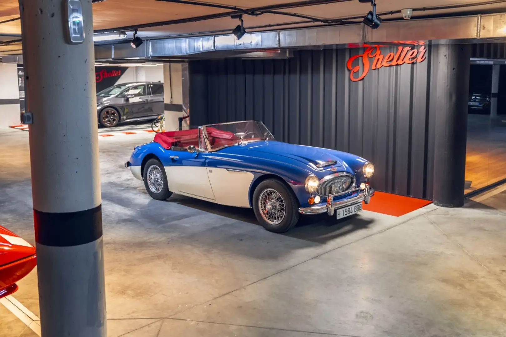 Austin-Healey 3000 Mk III BJ8 Синій - 2