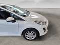 Ford Fiesta Fiesta 1.5 EcoBlue 5 porte Business FINO A 3 ANNI Bianco - thumbnail 20
