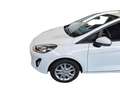 Ford Fiesta Fiesta 1.5 EcoBlue 5 porte Business FINO A 3 ANNI Bianco - thumbnail 17