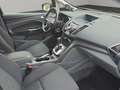 Ford Grand C-Max Grand C-MAX Titanium 7-SITZER AUTOMATIK TEMPOMAT Brun - thumbnail 16