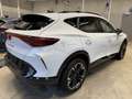 CUPRA Formentor 1.5eTSI DSG Dynamic Design TopView NAV Blanc - thumbnail 5