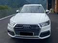 Audi Q5 Q5 2,0 TDI quattro sport S-tronic sport Weiß - thumbnail 4