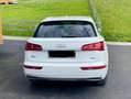 Audi Q5 Q5 2,0 TDI quattro sport S-tronic sport Weiß - thumbnail 3