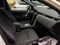 Land Rover Discovery Sport 2.0d i4 mhev 4X4 R-DYNAMIC AUTO GARANZIA 1 ANNO Weiß - thumbnail 9