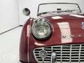 Triumph TR3 TR3A Convertible  - ONLINE AUCTION Rot - thumbnail 31