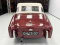 Triumph TR3 TR3A Convertible  - ONLINE AUCTION Rot - thumbnail 42