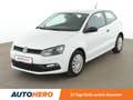 Volkswagen Polo 1.0 Trendline*KLIMA*GARANTIE* Bianco - thumbnail 1