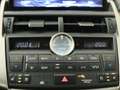 Lexus NX 300h AWD President Line | Mark Levinson | Navigatie | V Zwart - thumbnail 12
