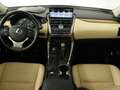 Lexus NX 300h AWD President Line | Mark Levinson | Navigatie | V Zwart - thumbnail 5