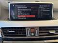 BMW X2 sDr.18i Aut. Advantage LED+AHK+NAVI+TEMP+DAB+ Grau - thumbnail 22