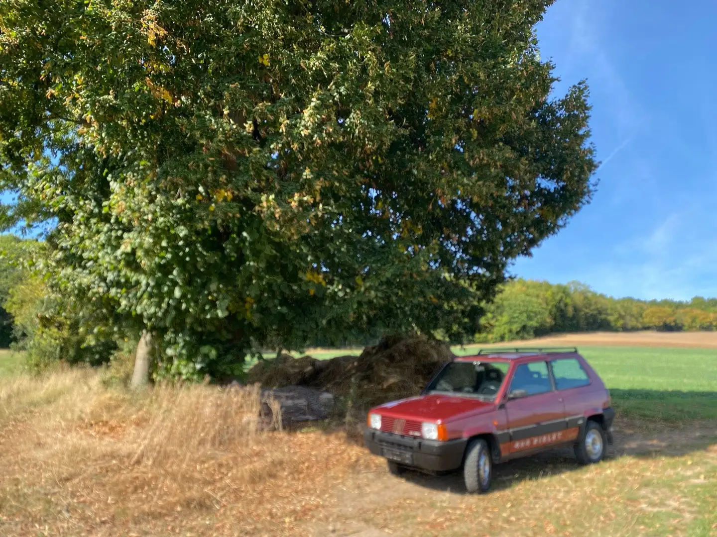 Fiat Panda 4x4 Sisley, Oldtimer Rot - 2