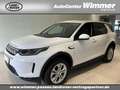 Land Rover Discovery Sport P200 SE AHK Winter Paket Bluetooth Weiß - thumbnail 1