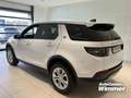 Land Rover Discovery Sport P200 SE AHK Winter Paket Bluetooth Blanc - thumbnail 3
