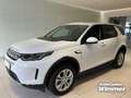 Land Rover Discovery Sport P200 SE AHK Winter Paket Bluetooth Weiß - thumbnail 15