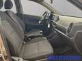 Kia Picanto Vision 1.0 Navi Apple CarPlay Android Auto Klimaau Grau - thumbnail 9