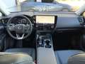 Lexus NX 450h+ Executive Line+360° cam+navi+s Blanc - thumbnail 24