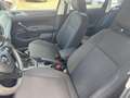 Volkswagen Polo 1.0 TSI Highline DIGITAAL DASHBOARD-CLIMA-CRUISE Grijs - thumbnail 17