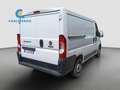 Fiat Ducato Ducato 30 2.3 Mjt L1H1 120cv Bianco - thumbnail 4