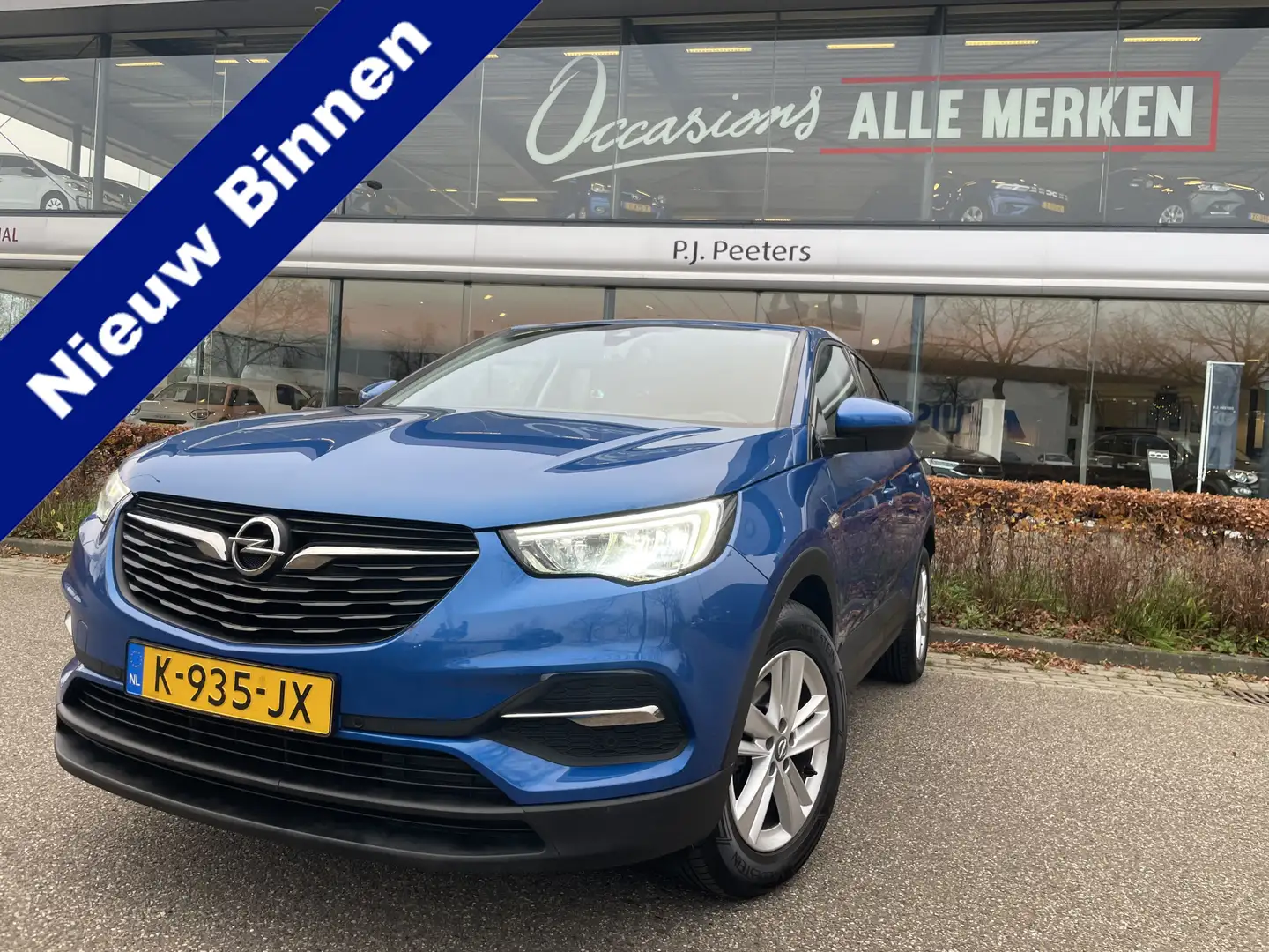 Opel Grandland X 1.2 Turbo Business Edition Achteruitrijcamera - Cr Blauw - 1