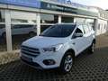 Ford Kuga 2.0 TDCi Titanium NAVI PANO KAMERA LED Blanc - thumbnail 2