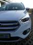 Ford Kuga 2.0 TDCi Titanium NAVI PANO KAMERA LED Blanc - thumbnail 8