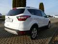 Ford Kuga 2.0 TDCi Titanium NAVI PANO KAMERA LED Blanc - thumbnail 4