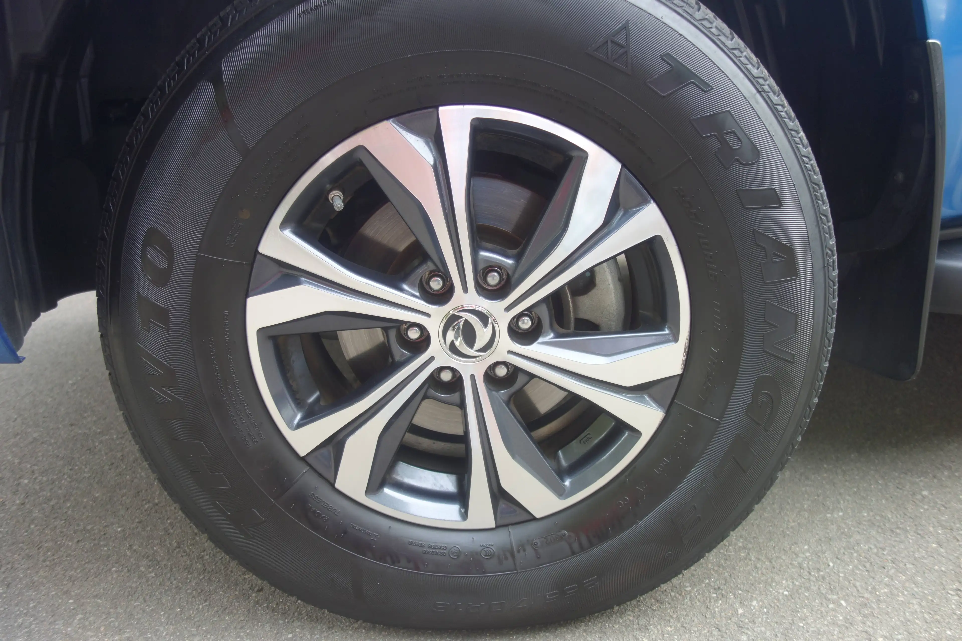 Dongfeng Others Rich 6 Pick Up — photo 8