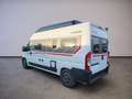 Dethleffs Globetrail 600 DS Citroen *Aufstelldach *Kamera Weiß - thumbnail 4