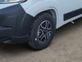 Dethleffs Globetrail 600 DS Citroen *Aufstelldach *Kamera Weiß - thumbnail 5