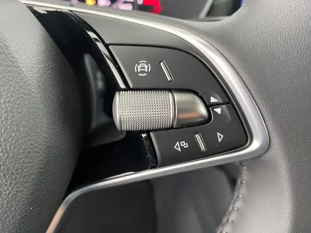 Skoda Octavia view 15