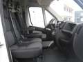 Fiat Ducato 35 2.3 MJT 130CV MH2 PM-TA Motore Rotto Bianco - thumbnail 6