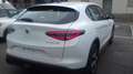 Alfa Romeo Stelvio SPRINT N1 AUTOCARRO 5 POSTI 2.2 Turbodiesel 160 C Wit - thumbnail 3