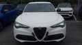 Alfa Romeo Stelvio SPRINT N1 AUTOCARRO 5 POSTI 2.2 Turbodiesel 160 C Wit - thumbnail 5