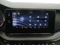 Skoda Octavia RS TDI DSG Grau - thumbnail 21