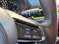 Mazda CX-5 CD184 AWD Newground Aut. *AHK* Grau - thumbnail 13