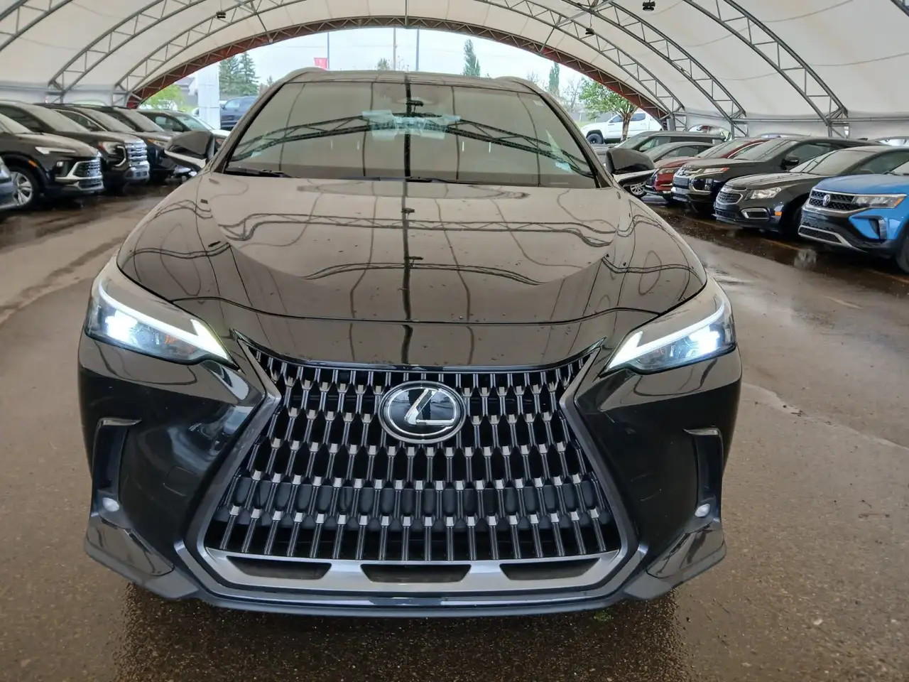 Lexus NX снимка Lexus NX