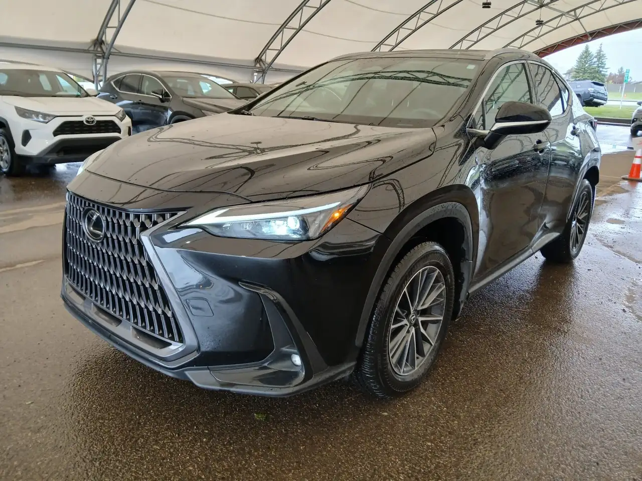 Lexus NX снимка Lexus NX