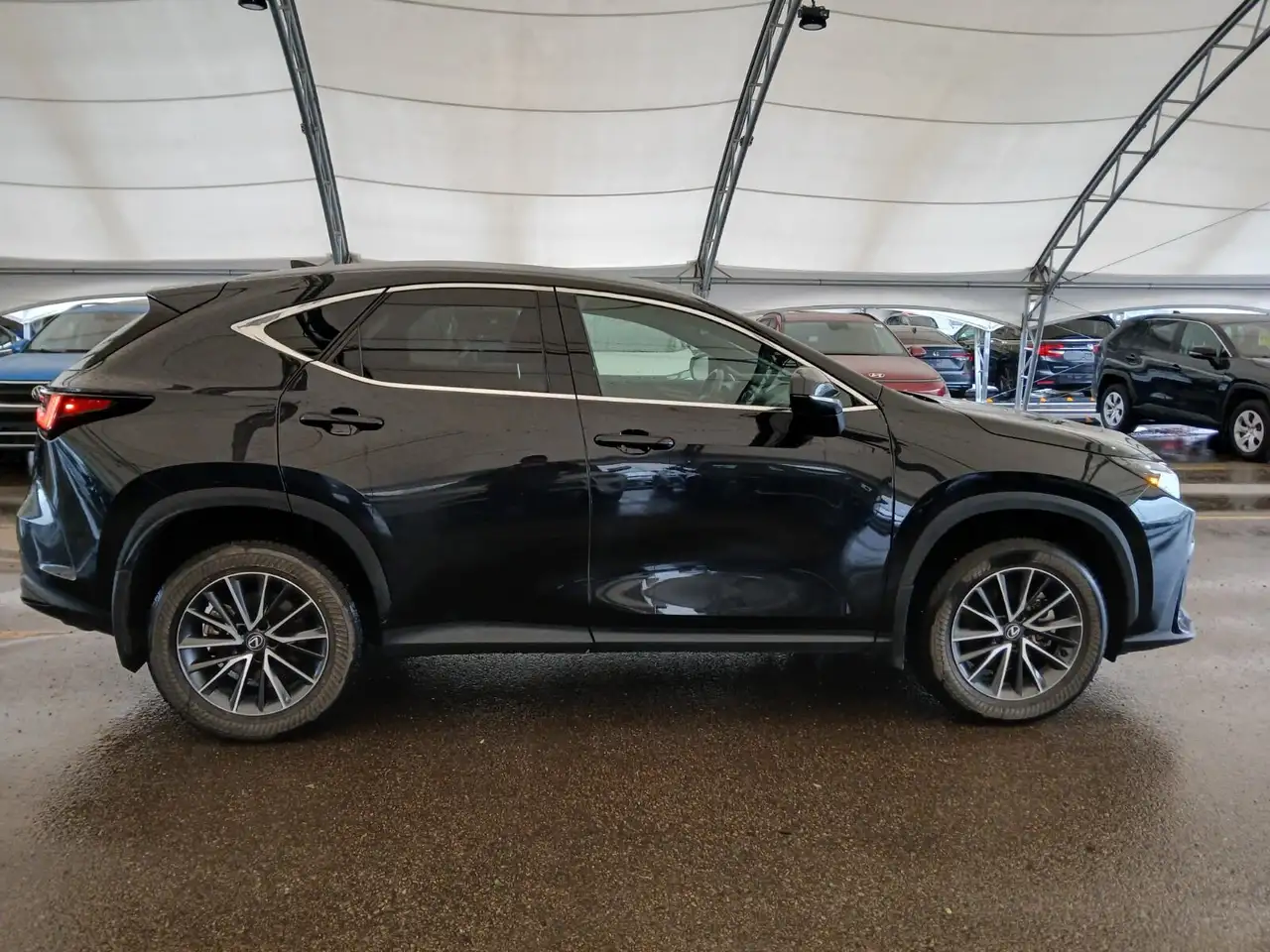 Lexus NX снимка Lexus NX