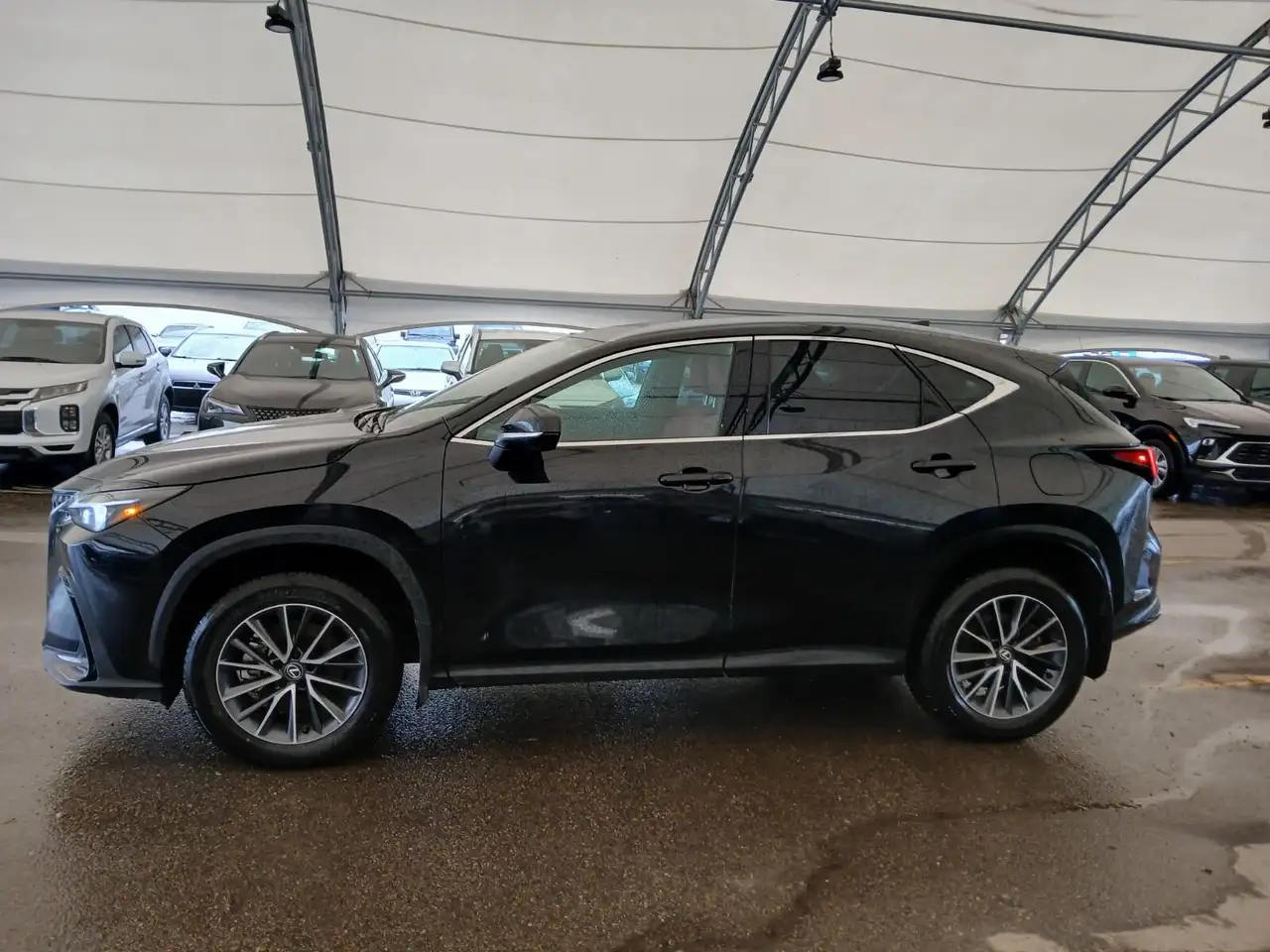 Lexus NX снимка Lexus NX