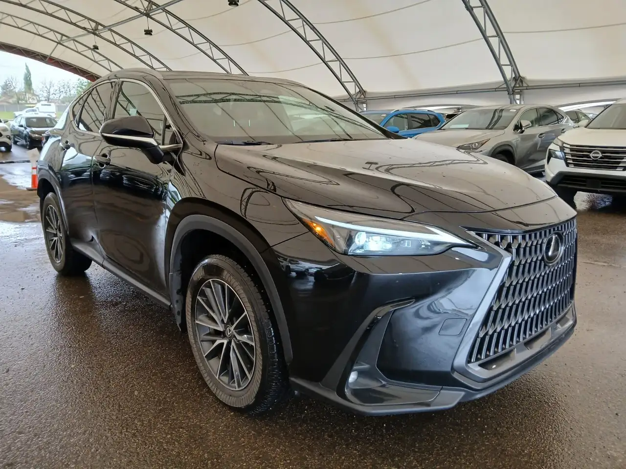 Lexus NX снимка Lexus NX