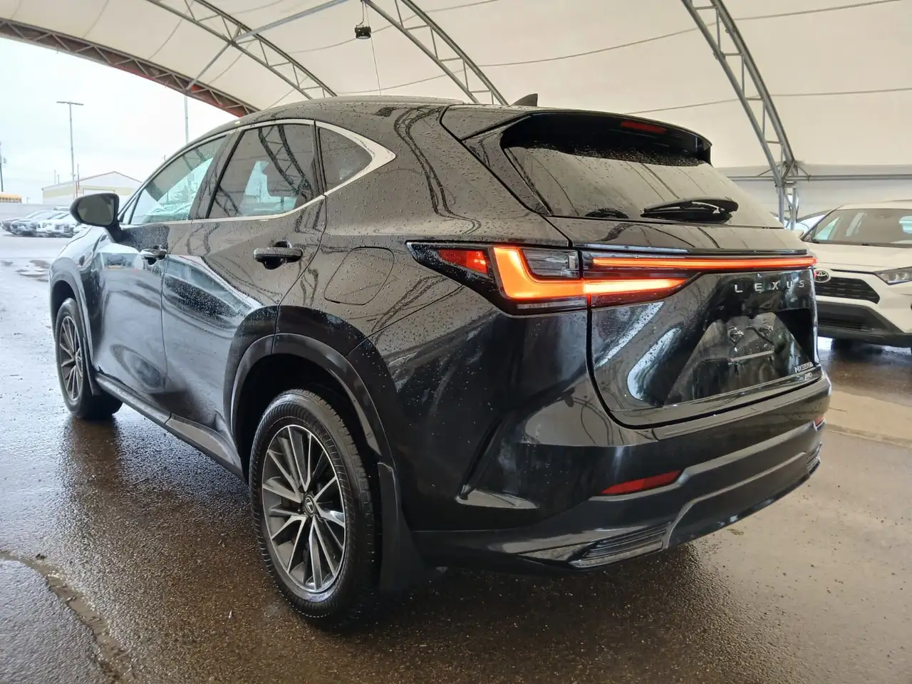 Lexus NX снимка Lexus NX