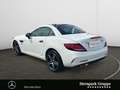 Mercedes-Benz SLC 300 SLC 300 AMG Line Final Edition ILS*PTS*SHZ*MEMORY Blanc - thumbnail 3