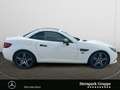 Mercedes-Benz SLC 300 SLC 300 AMG Line Final Edition ILS*PTS*SHZ*MEMORY Blanc - thumbnail 6