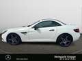 Mercedes-Benz SLC 300 SLC 300 AMG Line Final Edition ILS*PTS*SHZ*MEMORY Blanc - thumbnail 2