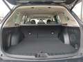 Subaru Forester 2.0ie Edition Black Platinum  mit AHK Gris - thumbnail 16