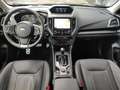 Subaru Forester 2.0ie Edition Black Platinum  mit AHK Gris - thumbnail 10