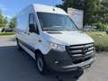 Mercedes-Benz Sprinter 317 Sprinter Kasten L2H2 AUTOMATIK*NAVI*360°*93l Weiß - thumbnail 3