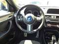 BMW X2 X2 xDrive20d Aut. Blau - thumbnail 17